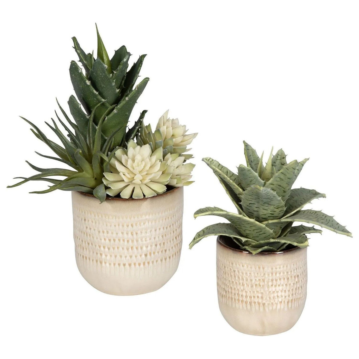 The Uttermost - Seaside Succulents Succulents, Set/2 - 60208 | Montreal Lighting & Hardware