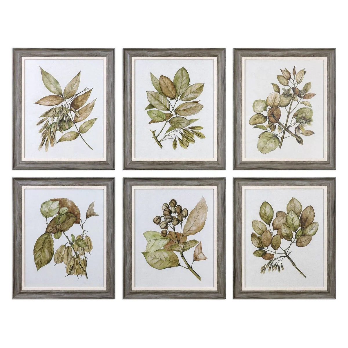 The Uttermost - Seedlings Wall Art - 33643 | Montreal Lighting & Hardware