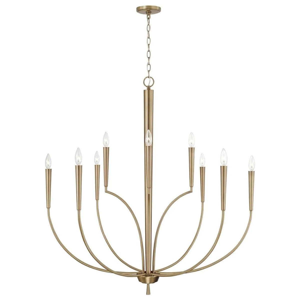 Capital Lighting Fixture Company - Holden Chandelier - 445901AD | Montreal Lighting & Hardware