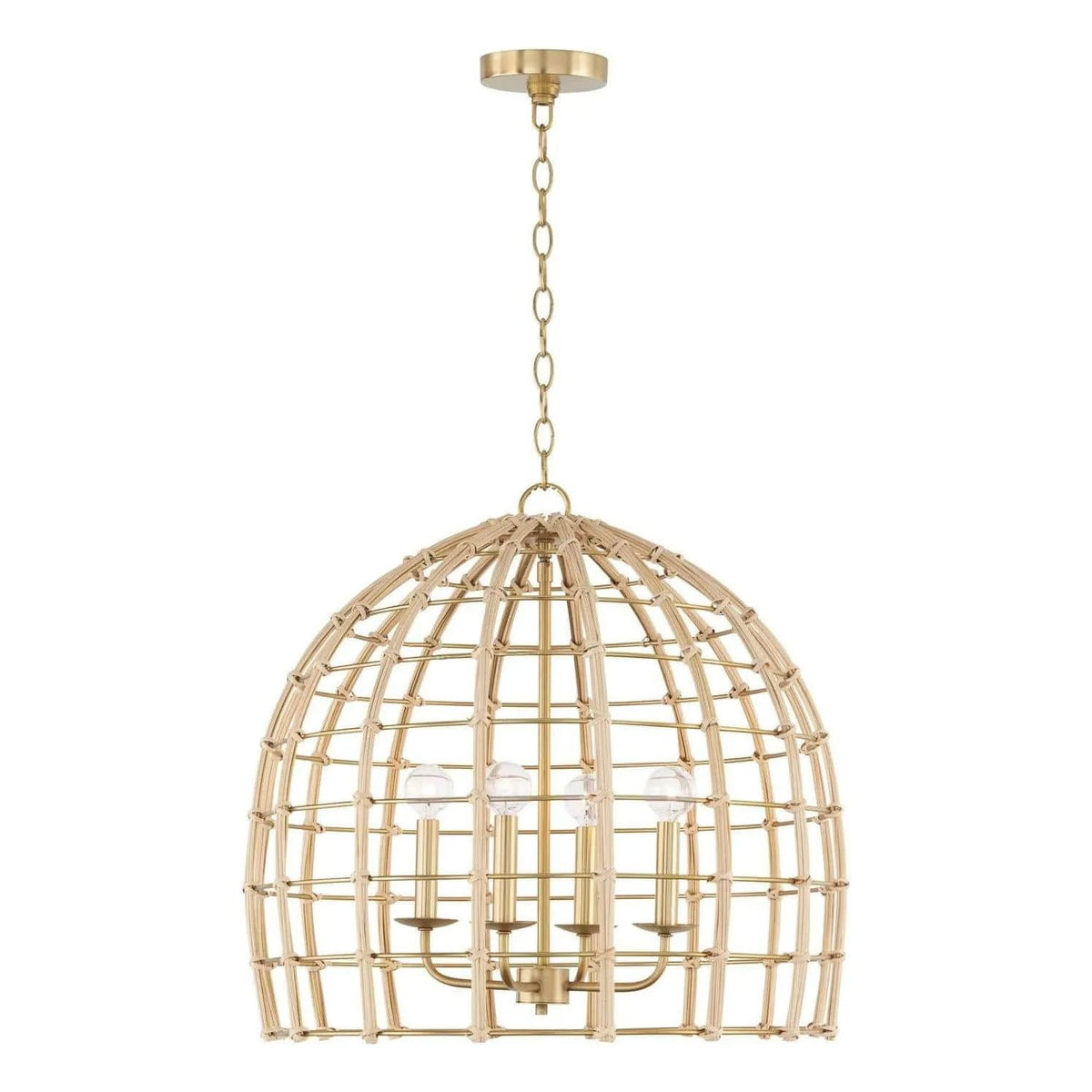 Capital Lighting Fixture Company - Wren Pendant - 344141MA | Montreal Lighting & Hardware