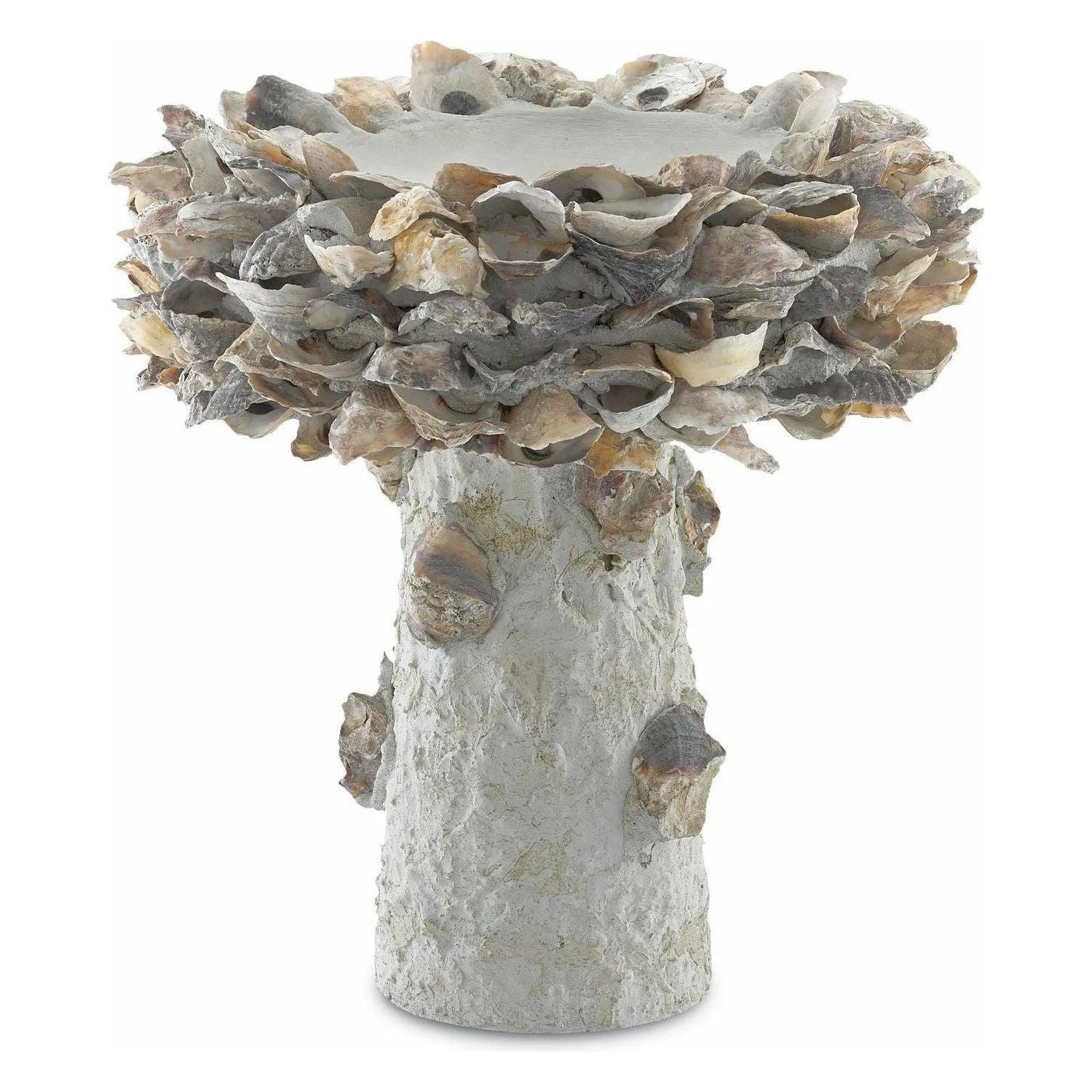 Currey and Company - Oyster Shell Bird Bath - 1200-0052 | Montreal Lighting & Hardware