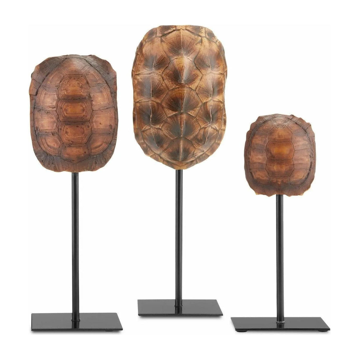 Currey and Company - Turtle Shells Set of 3 - 1200-0433 | Montreal Lighting & Hardware