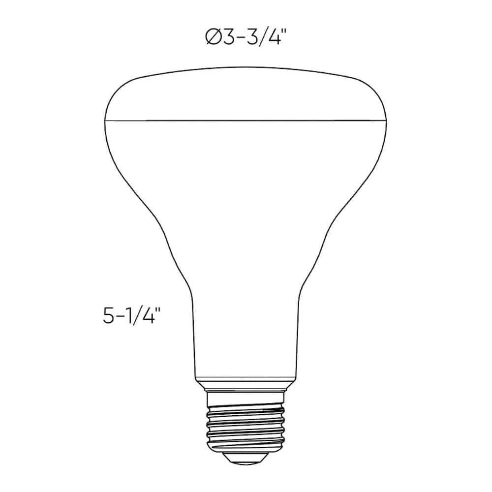 DALS Lighting - DCPro Smart BR30 LED Bulb - DCP-BLBBR30 | Montreal Lighting & Hardware