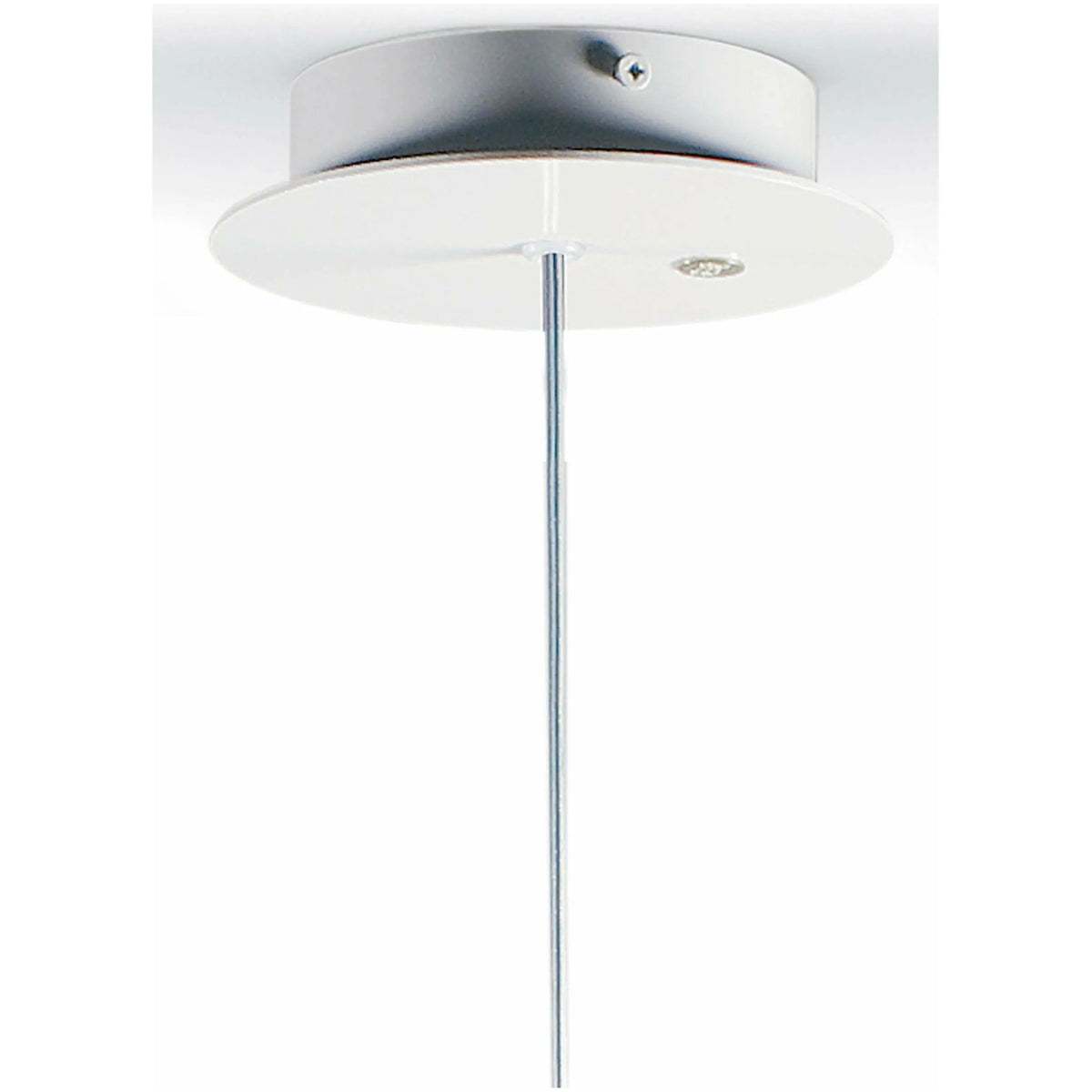 Lladro - Belle de Nuit Ceiling Lamp with Lithophane - 01023395 | Montreal Lighting & Hardware