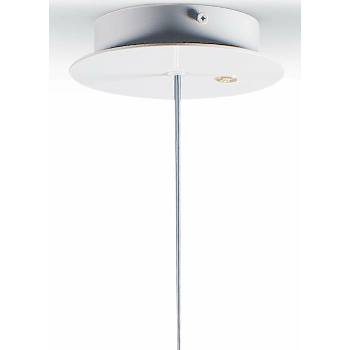 Lladro - Belle de Nuit Ceiling Lamp with Lithophane - 01023395 | Montreal Lighting & Hardware