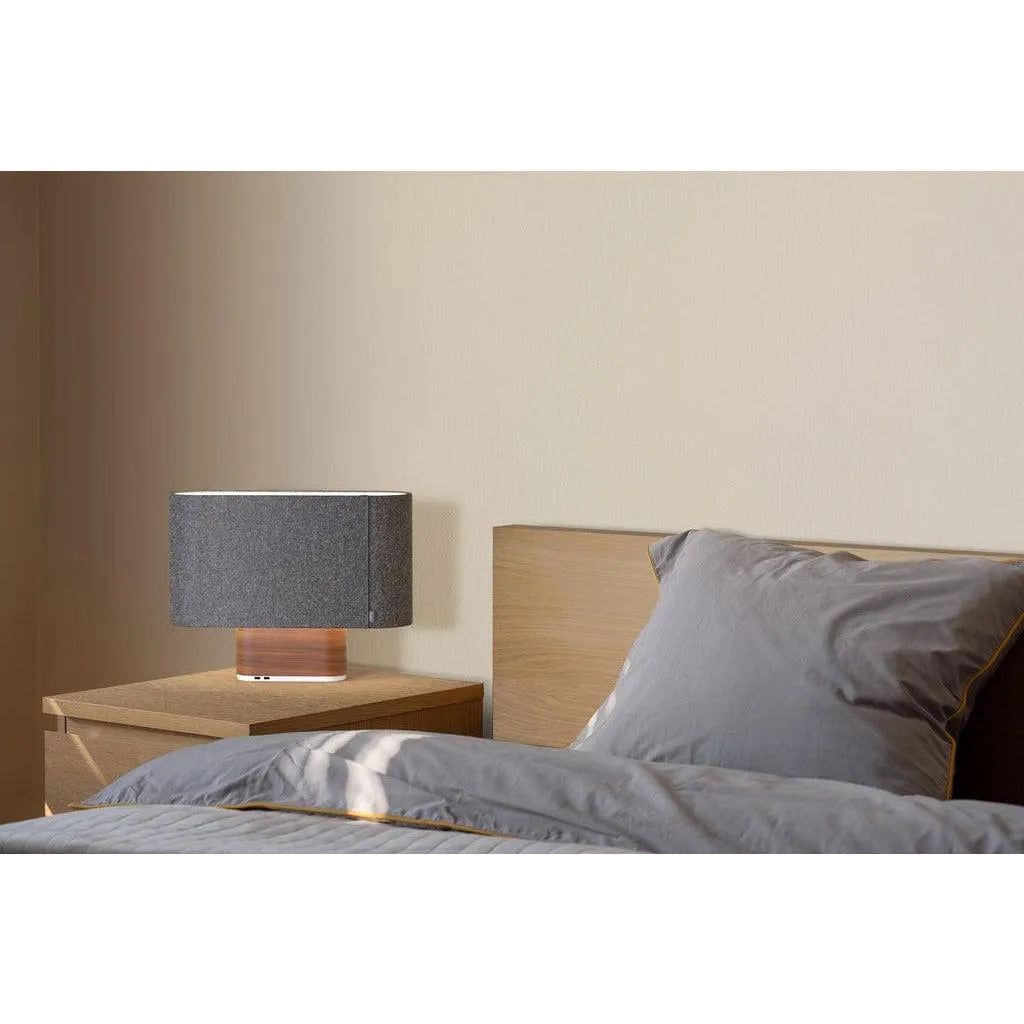 Pablo Designs - Belmont LED Table Lamp - BELM TBL GPT/OAK | Montreal Lighting & Hardware