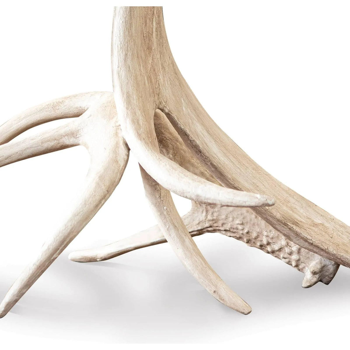 Regina Andrew - Southern Living Waylon Antler Table Lamp - 13-1523 | Montreal Lighting & Hardware