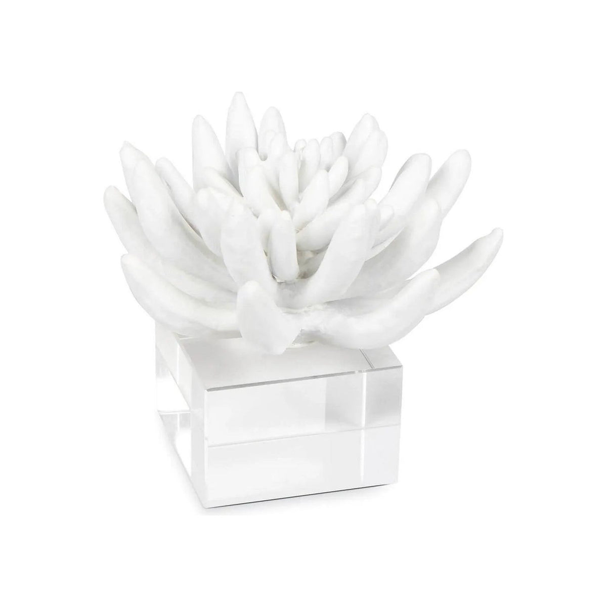 Regina Andrew - Succulent Resin Sculpture 2 - 20-1484 | Montreal Lighting & Hardware