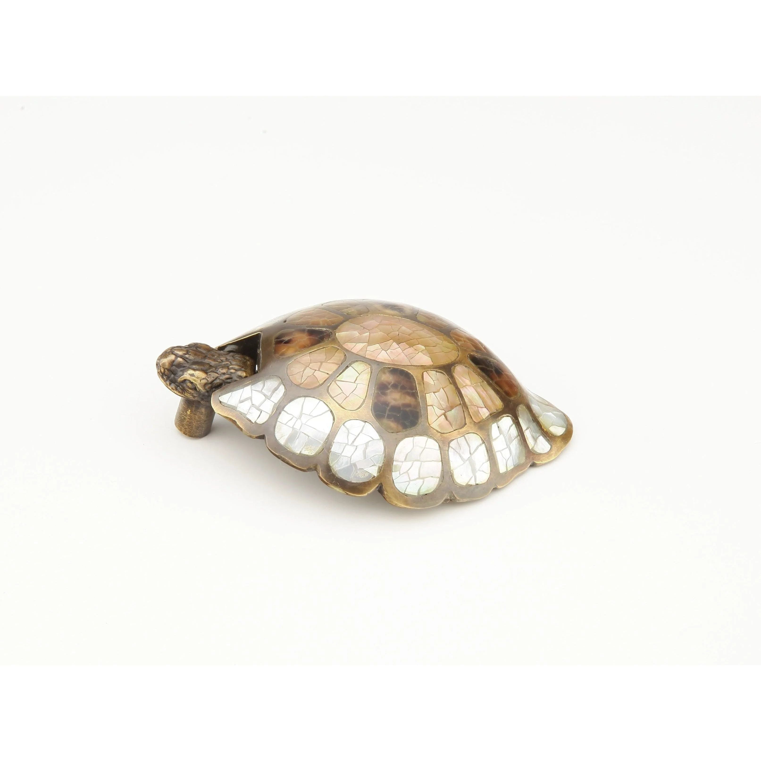 Schaub - Nature Turtle Pendant Pull - 864-MOP/ED | Montreal Lighting & Hardware