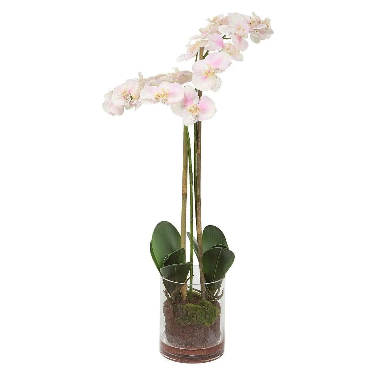 The Uttermost - Blush Orchid - 60196 | Montreal Lighting & Hardware